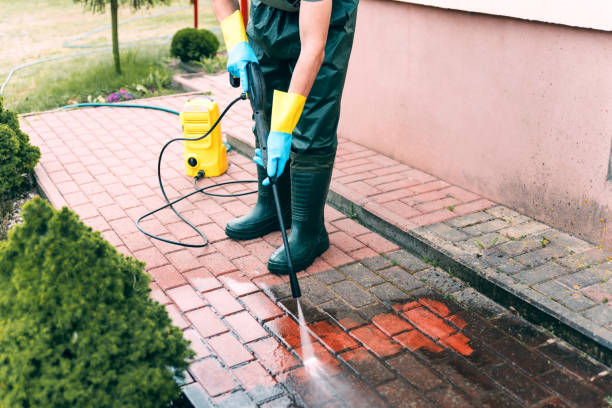 Best Fence Cleaning and Maintenance in Olivia, MN